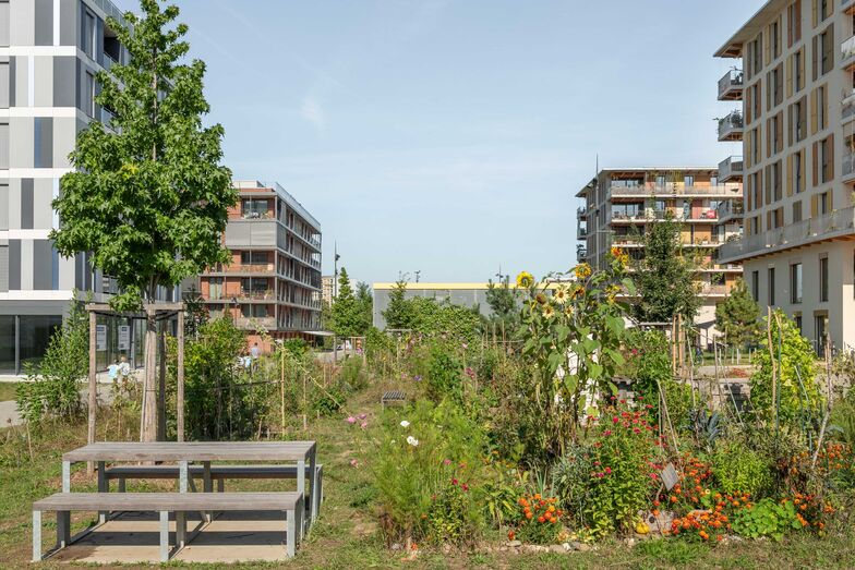 Ein visionäres Modell für mehr Nachhaltigkeit: Wakkerpreis 2022 des Schweizer Heimatschutzes an die Genfer Gemeinde Meyrin.